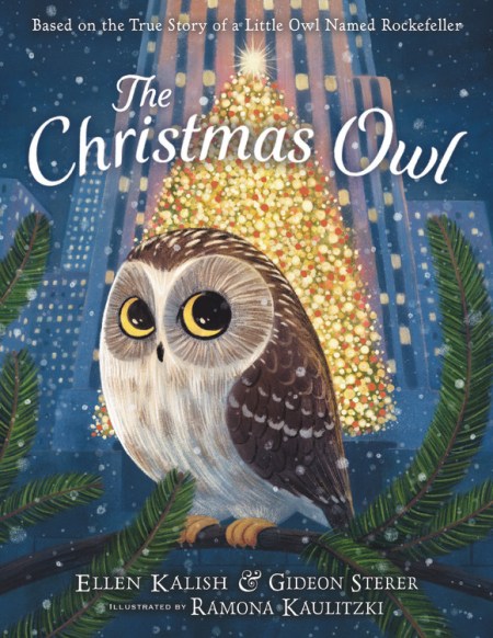 The Christmas Owl by Gideon Sterer | Little, Brown Books for Young Readers
